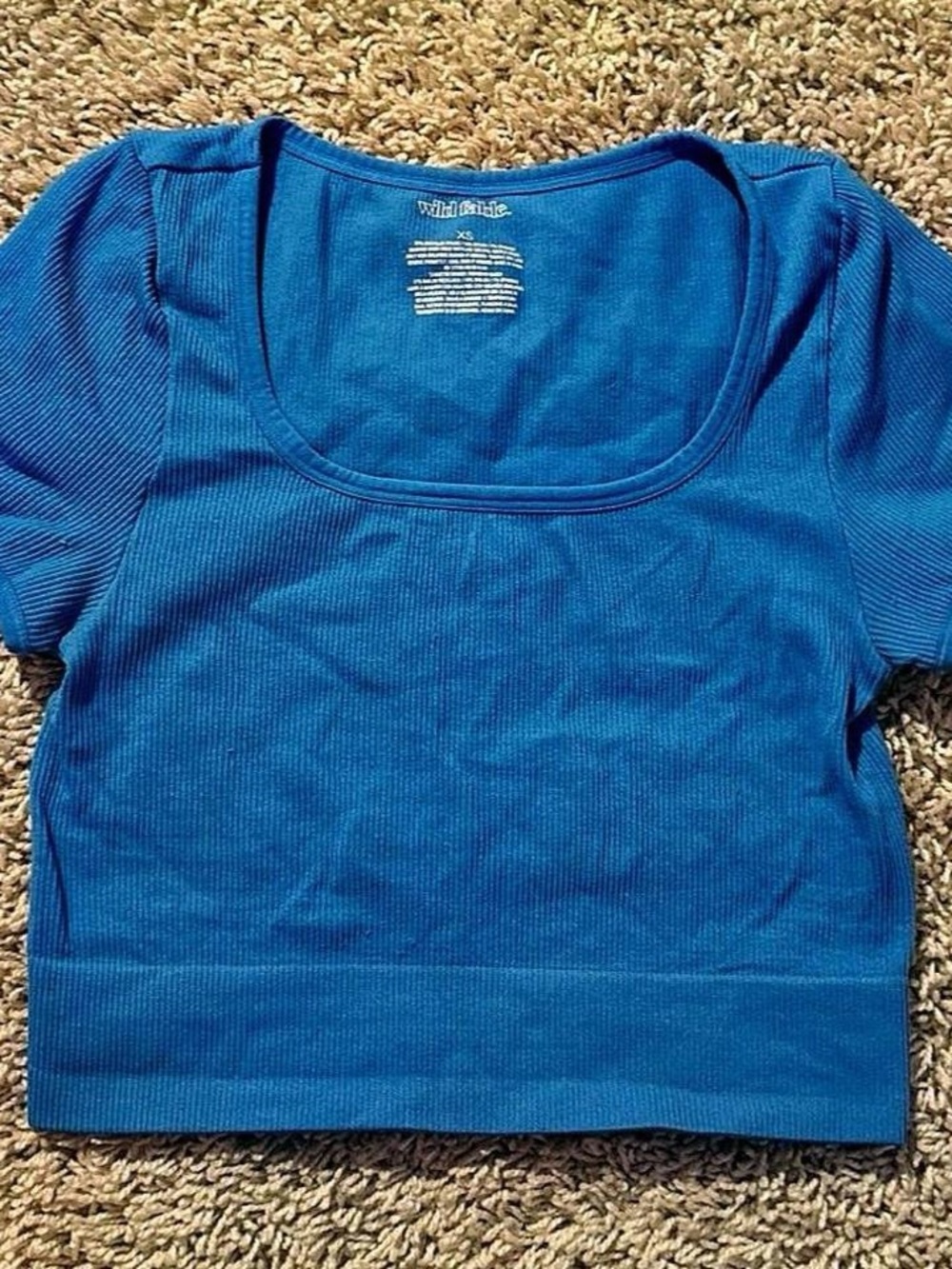 wild fable Royal Blue Ribbed Scoop Crop Top